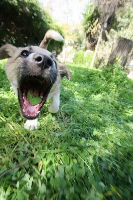 Олег Войтович -MarS- | Сыктывкар