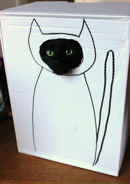 №27, Ольга Малкина №27, Ольга Малкина