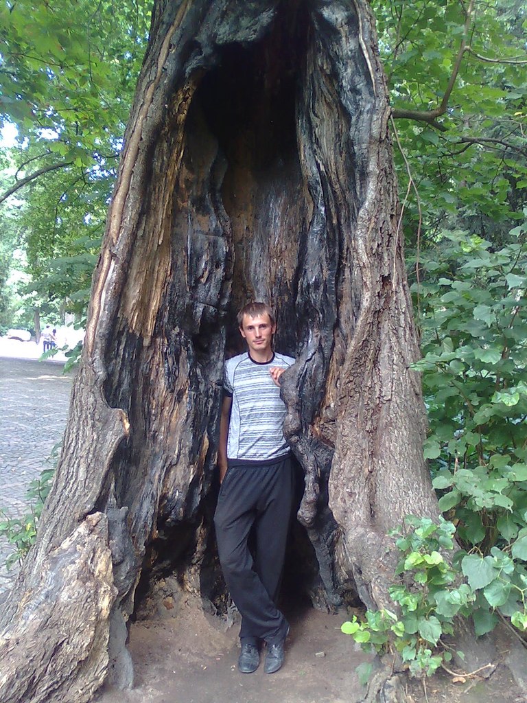 Роман Зельман | Львов