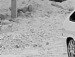 №101, Саша Сабиров, 22.05, Харьков №101, Саша Сабиров, 22.05, Харьков