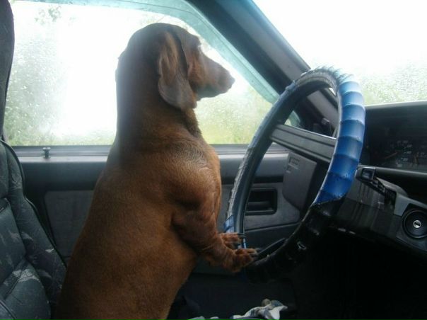 №7, Гоша Кузнецов №7, Гоша Кузнецов