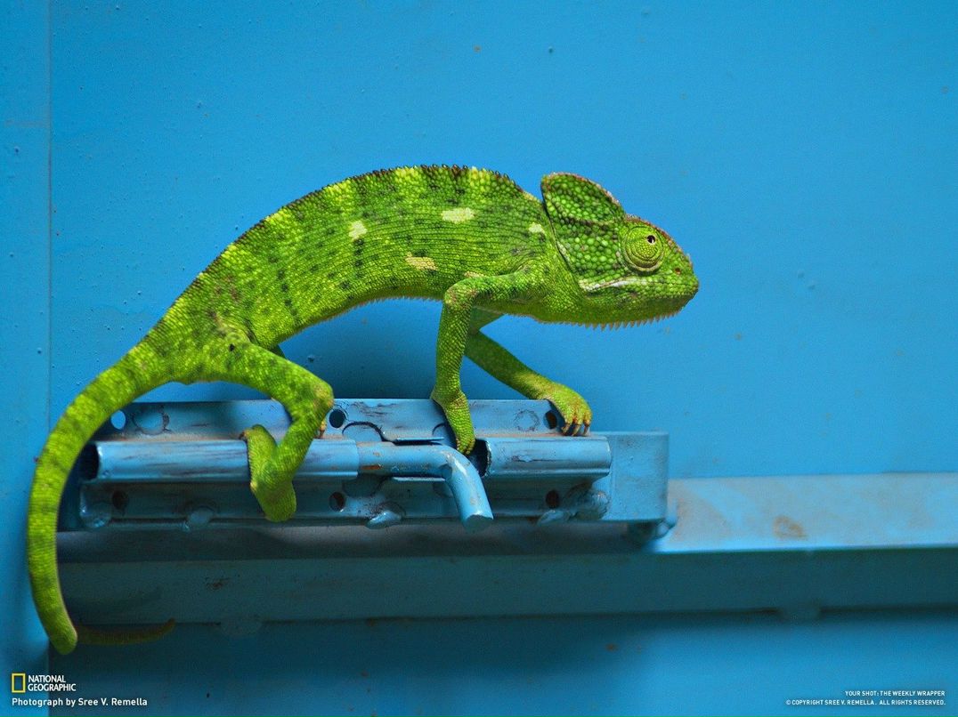 Константин Ситников | Киров