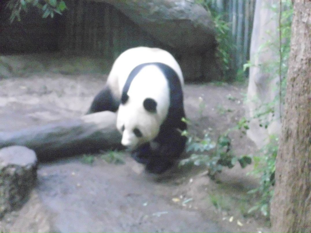 Alexandr Oseev | Magdeburg