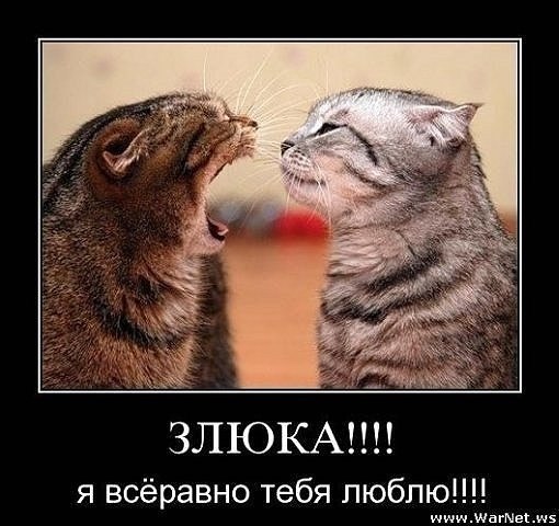 Андрей Корюшов | Альметьевск