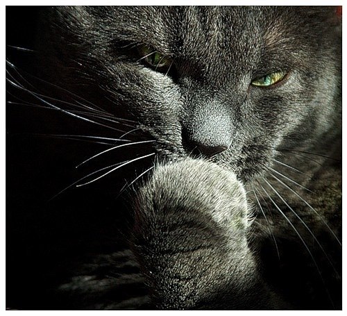 Татьяна Нурбаева | Москва