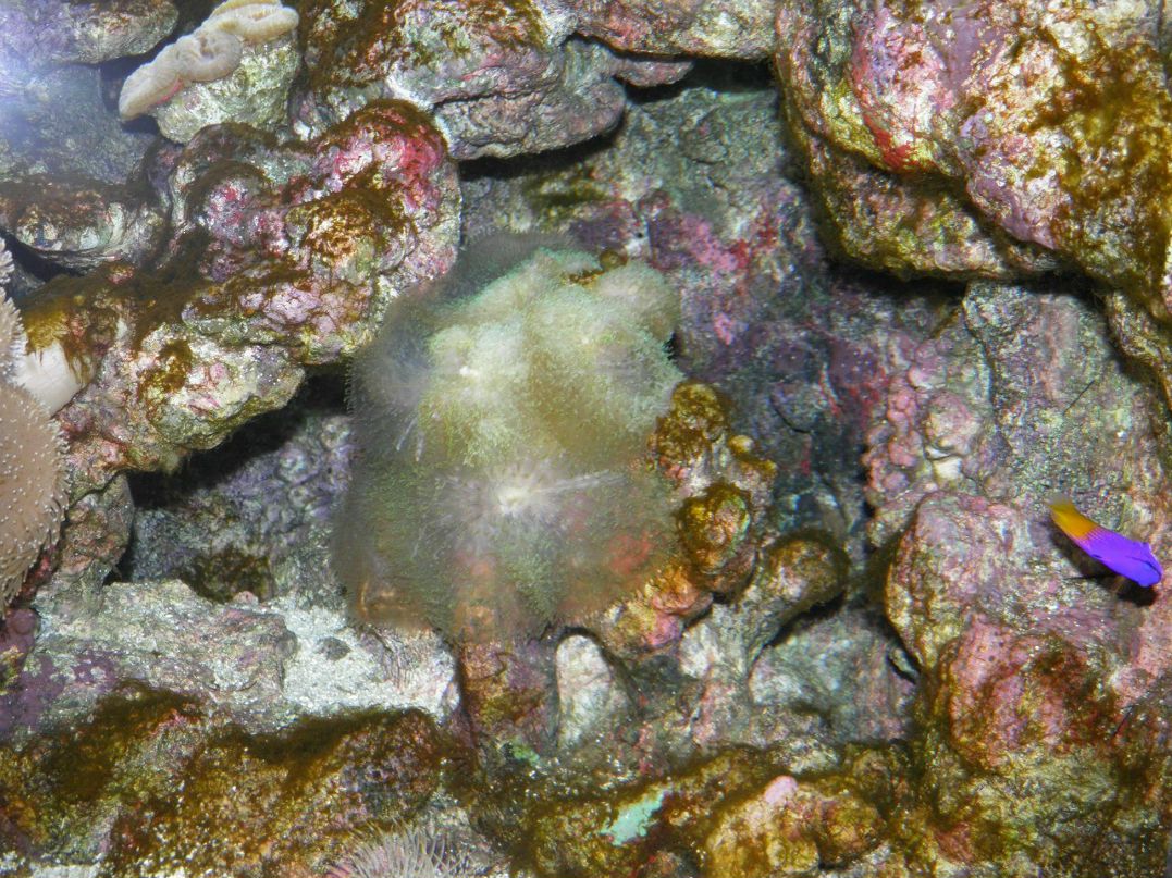 Ирина Васюкова | Мелитополь