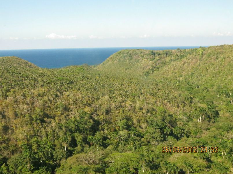 Aleksey Isaev | Мытищи