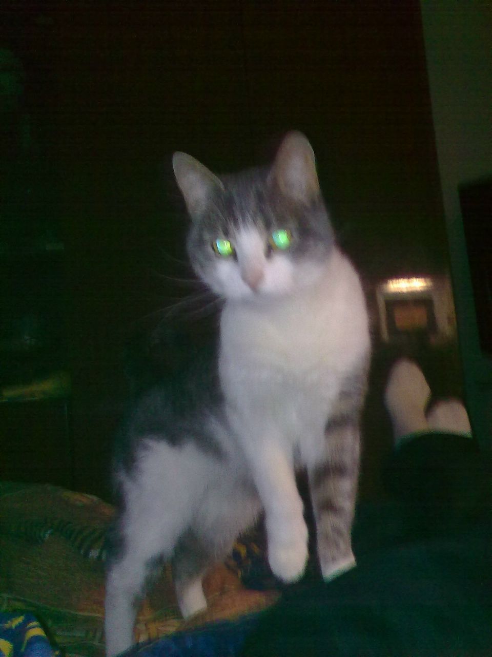 Юрий Ананьин | Санкт-Петербург