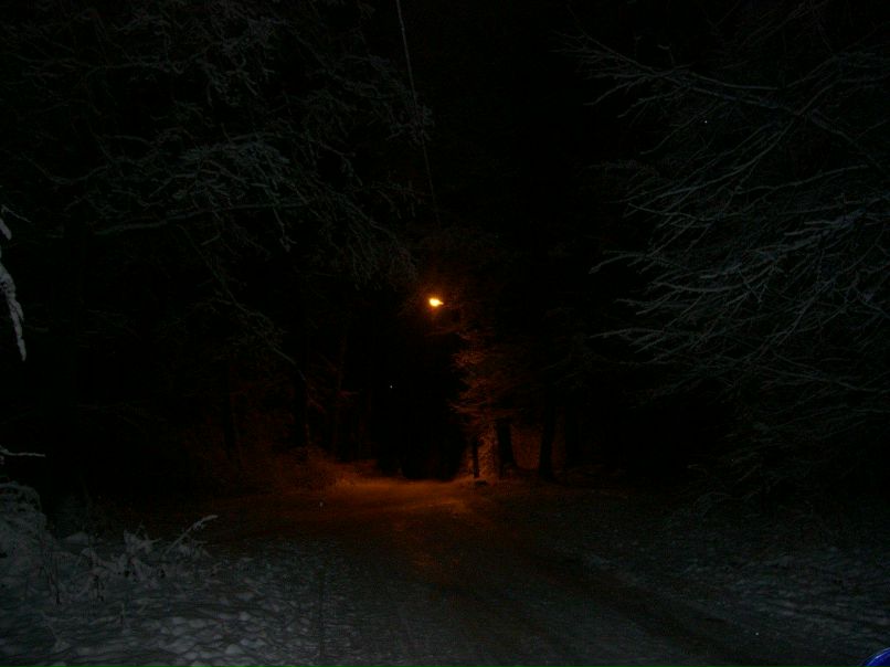 Тетяна Замрій | Львов