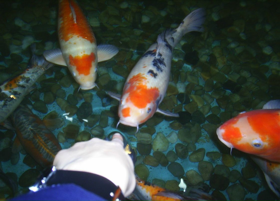 Сергей Пономарев ˙·٠✈ | Новосибирск