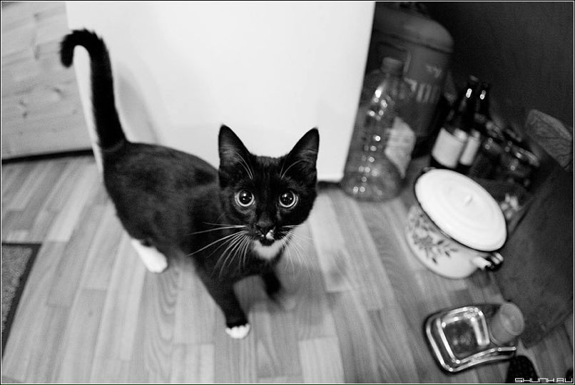 Дмитрий Савин | Москва