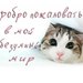 Олеся Голик фотография #32 (источник - https://vk.com/id156710764)