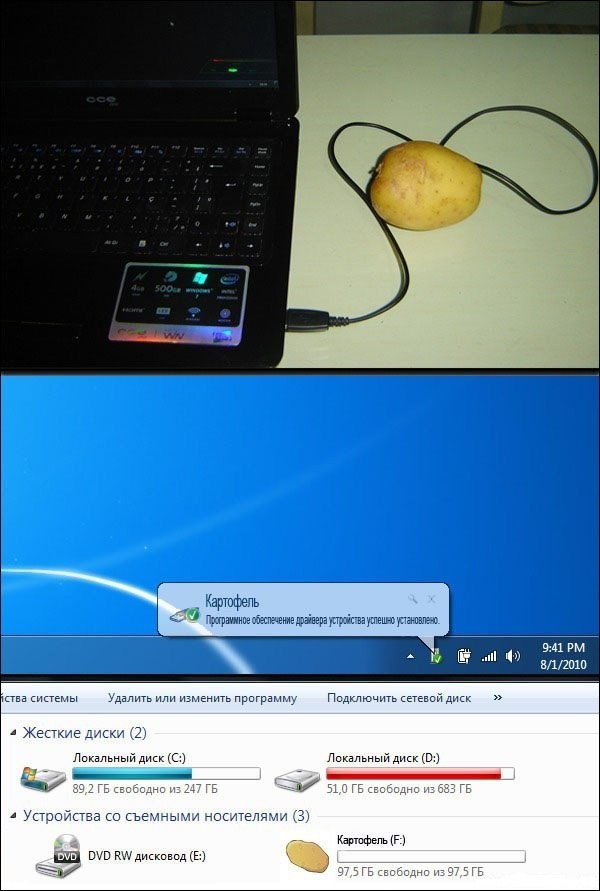 Павел Снетков | 