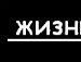 Ольга Виниченко фотография #24 (источник - https://vk.com/id73861836)