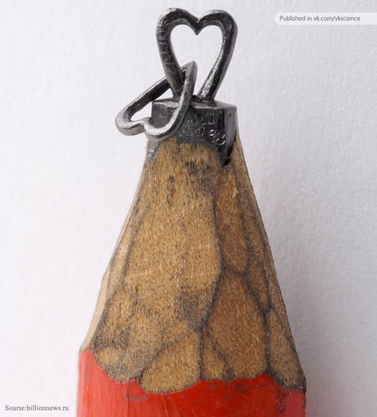 Елена Заиченко | 