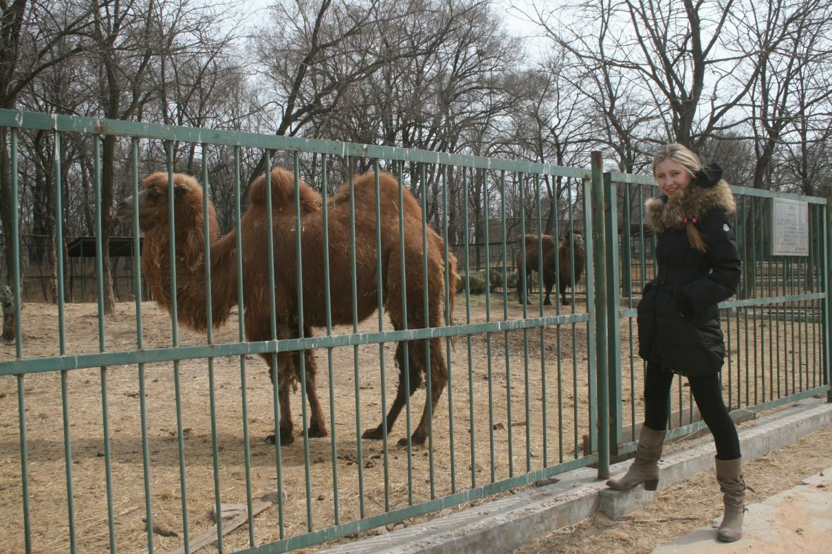 Анастасия Кириллова | Комсомольск-на-Амуре
