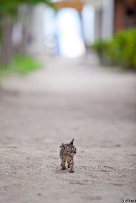 Юрий Аааааааа | Екатеринбург