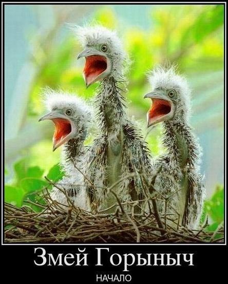 Мишка Лысенко 