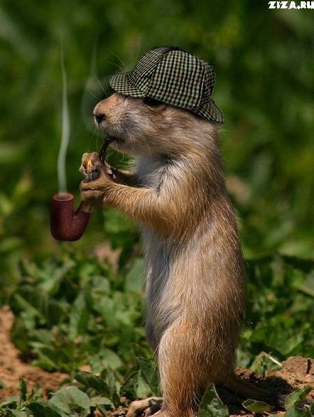 Ильнур Зиннатуллин | Казань