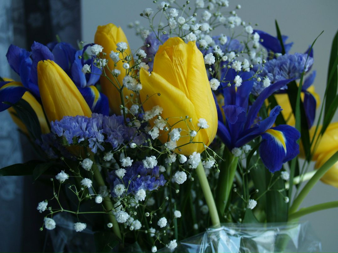 Аида Хатыпова | Казань