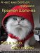 Роман Диденко фотография #48