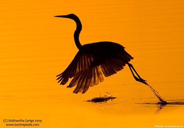 Оля Ускова | Москва