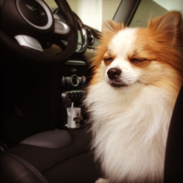 Lera Kateneva | Москва