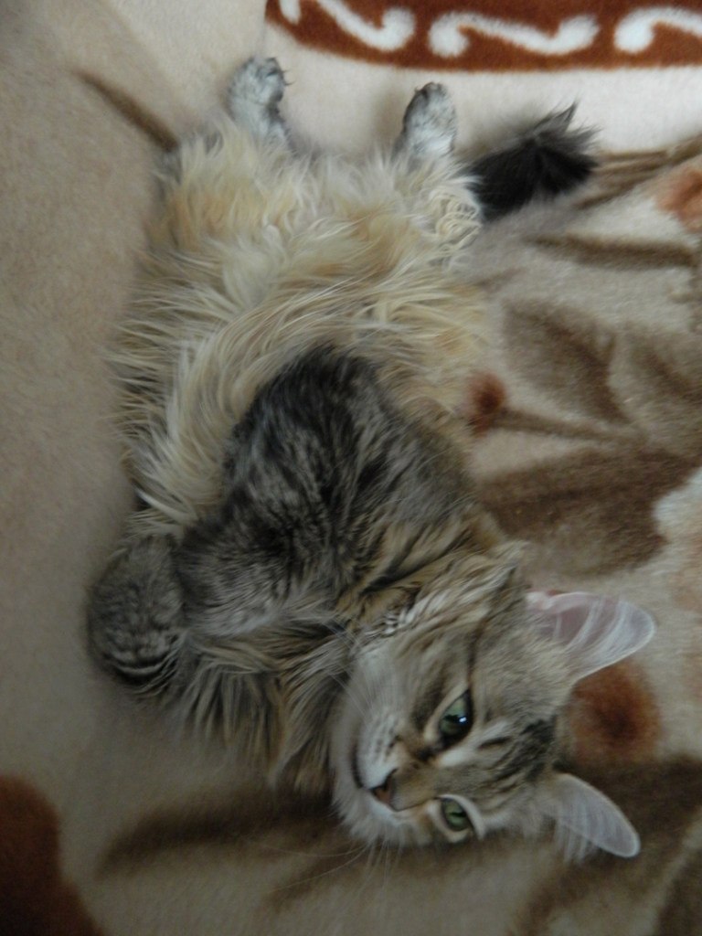 Ольга Брянская | Санкт-Петербург