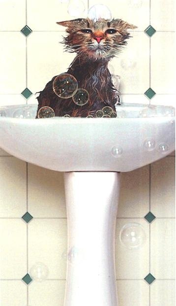 Ольга Ярович | Новосибирск