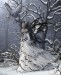 Нимфа Воды фотография #29