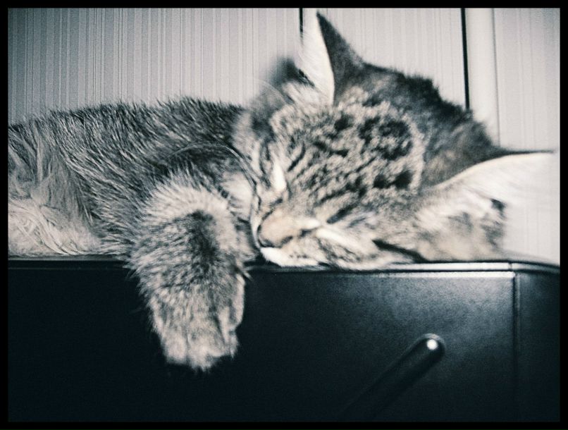 Даша Яскевич | Минск