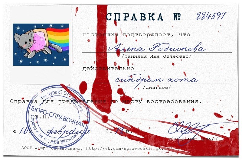 Алёна Родионова | Краснодар