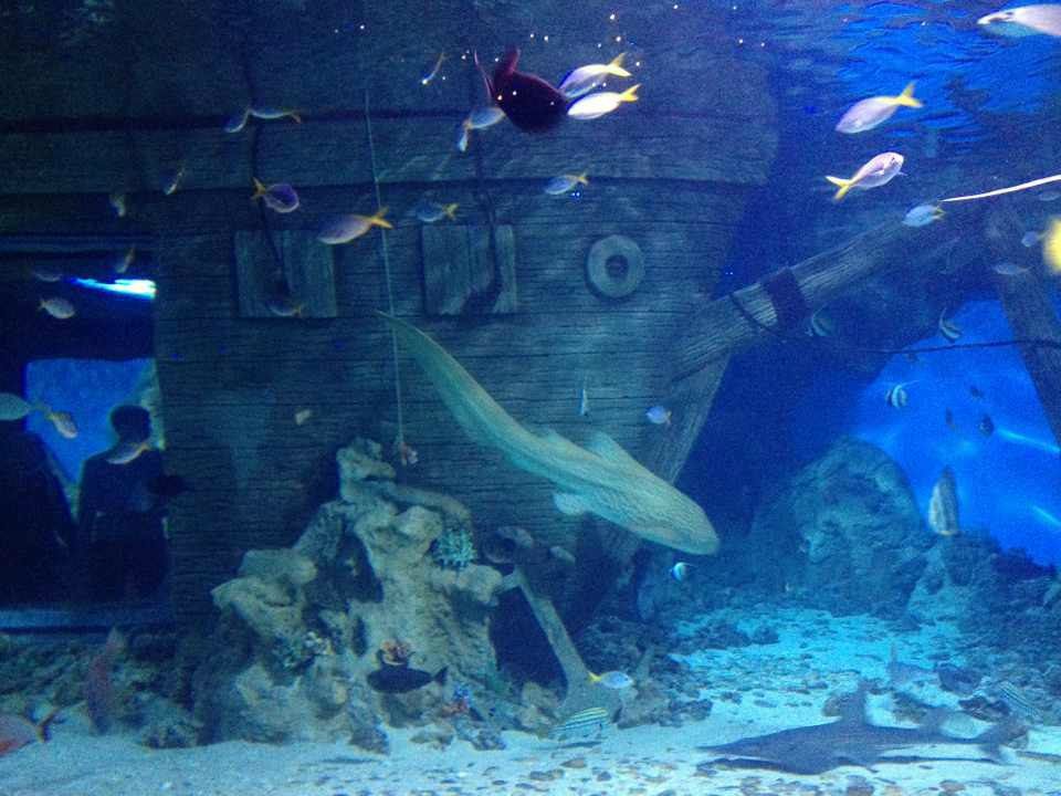 Марина Борисова | Москва