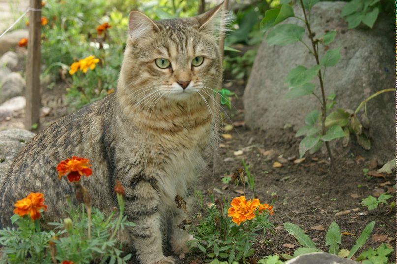 Татьяна Максимова | Санкт-Петербург