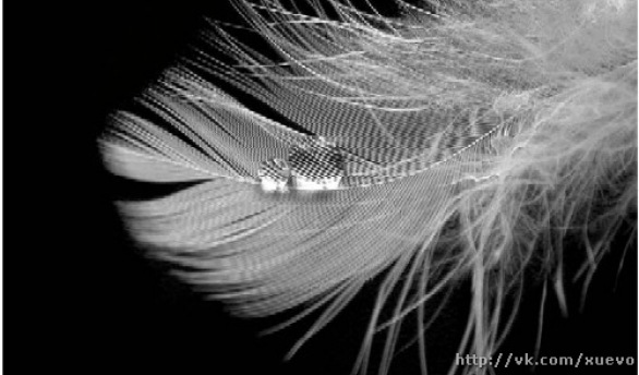 №20, Анюта Полянская, Харьков №20, Анюта Полянская, Харьков