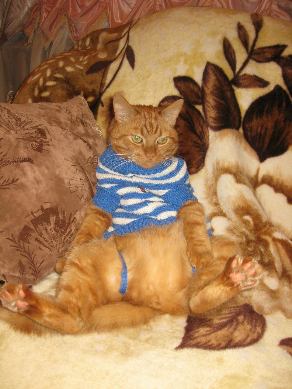 Полина Лурье | Санкт-Петербург