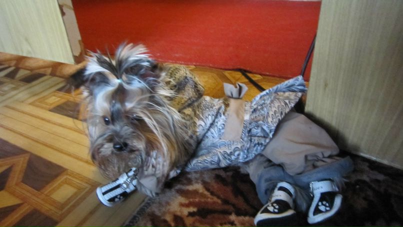 Елена Габдуллина(ягодарова) | Москва