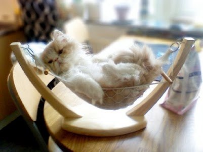 №32, Орест Терлецький, 43 года, Мостиска №32, Орест Терлецький, 43 года, Мостиска