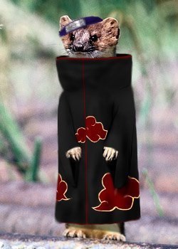 Григорий Иванов | Воронеж