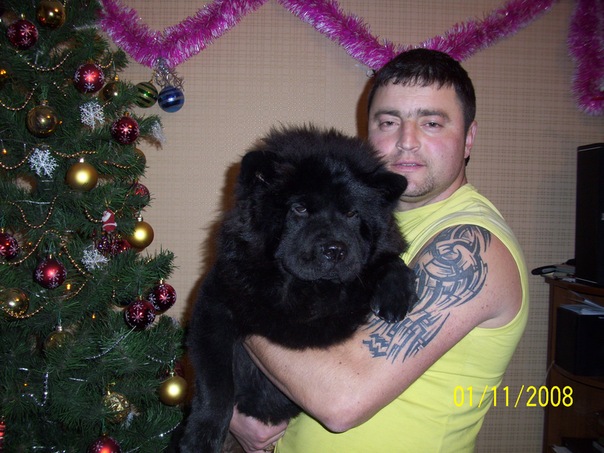 №154, Андрей Мальчик, 45 лет, Бахчисарай №154, Андрей Мальчик, 45 лет, Бахчисарай