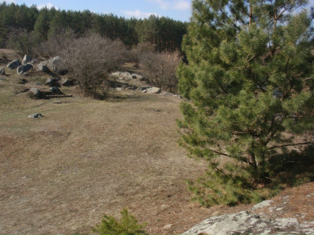 Борис Блаженний | Киев