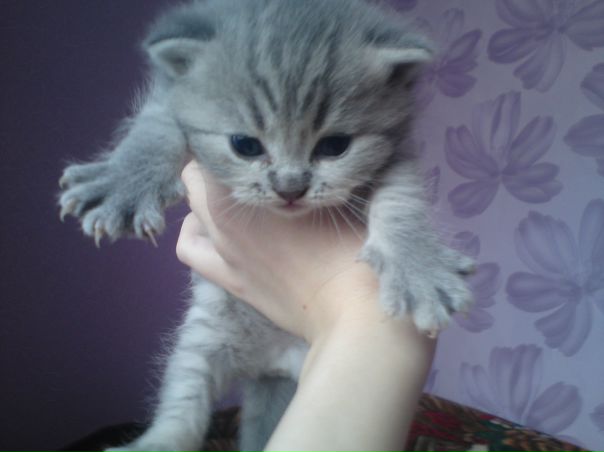 №19, Наталья Никулина №19, Наталья Никулина