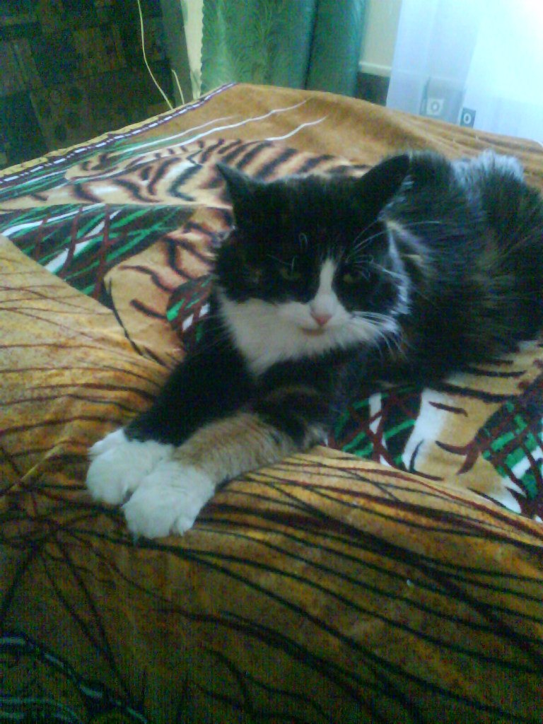 Андрей Певцов | Новосибирск