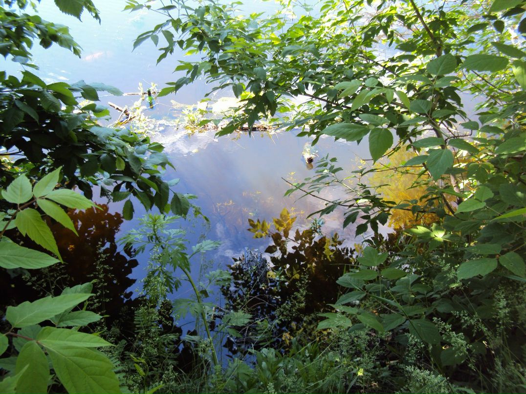 Алексей Енилин | Чебоксары