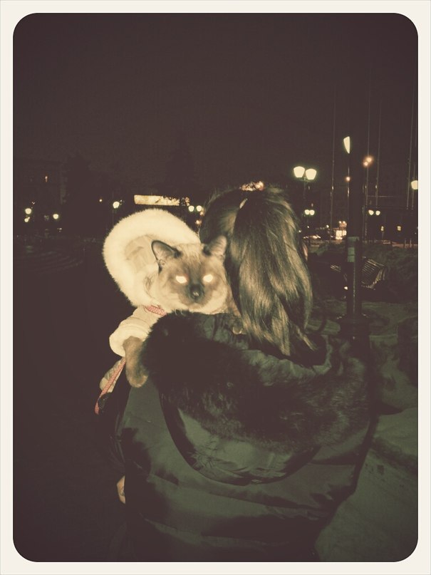 Стефания Никитан 143 | Москва