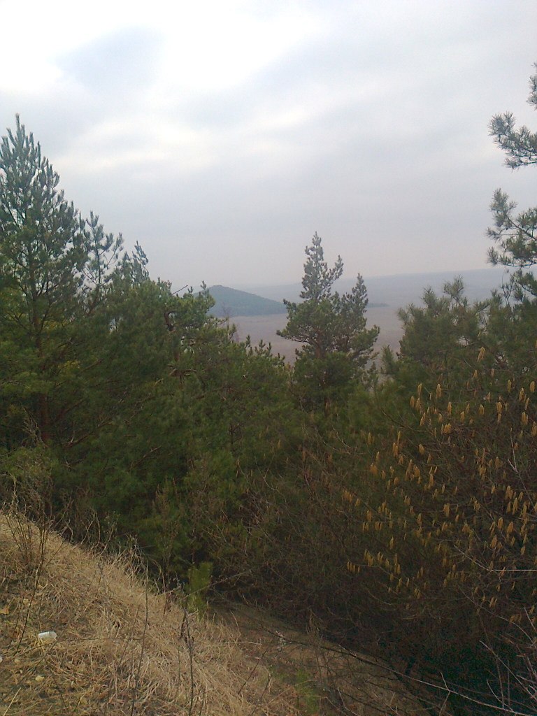 Марія Шевчук Василівна | Кременец