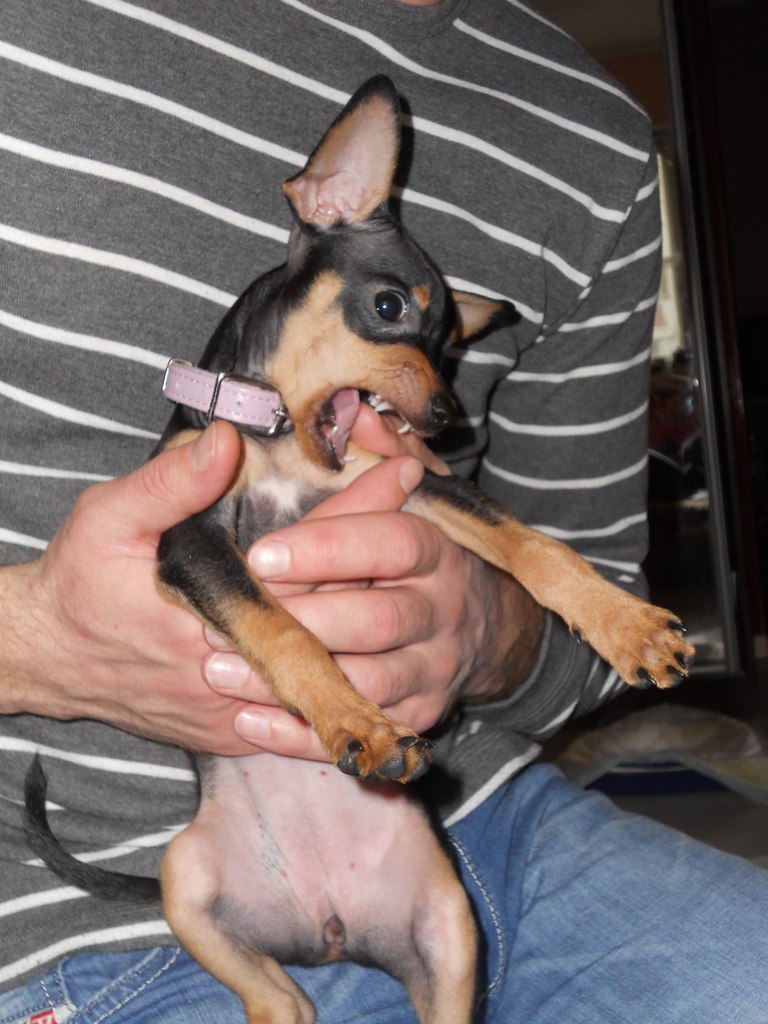 Виктория Вовикова | Киев