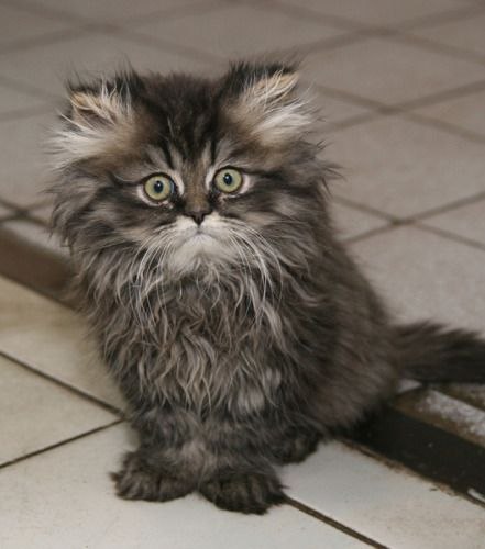 Александр Лаврухин | Санкт-Петербург