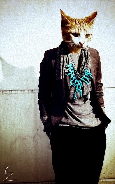 Виктор Пыпоть | 