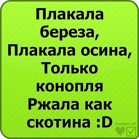 Дашка Савина | Речица